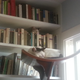 Illustration for article titled The truth about geeks and cats
